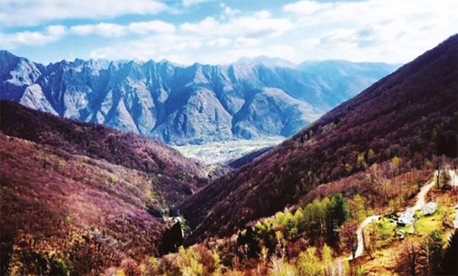 Screenshot 2023 11 05 alle 09.25.20