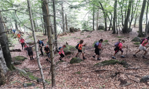 Screenshot 2024 07 14 alle 08.50.56