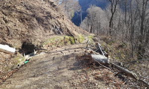 Screenshot 2025 01 01 alle 10.35.01