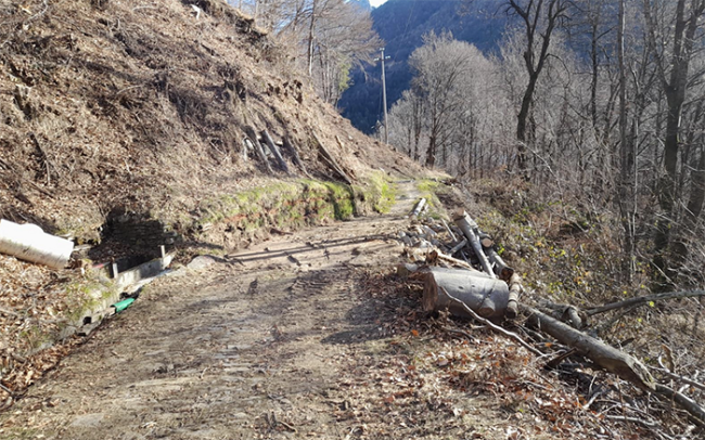 Screenshot 2025 01 01 alle 10.35.01