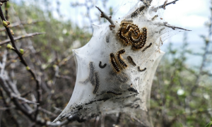 Screenshot 2025 02 02 alle 12.30.14