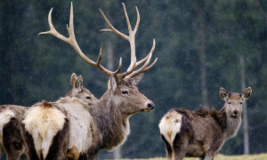 Screenshot 2025 08 29 alle 09.42.58