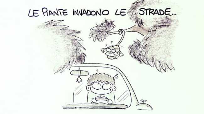 WhatsApp Image 2018 07 17 at 11.53.47