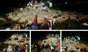 WhatsApp Image 2018 09 30 at 09.17.59