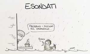 WhatsApp Image 2018 11 06 at 11.59.16