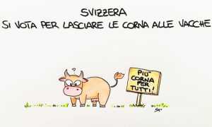 WhatsApp Image 2018 11 21 at 17.13.59