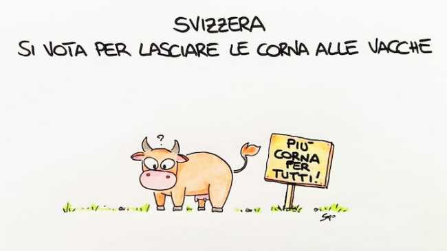 WhatsApp Image 2018 11 21 at 17.13.59