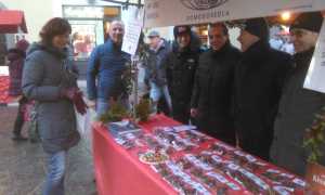 WhatsApp Image 2018 12 17 at 08.58.38