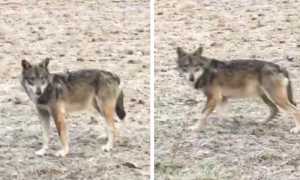 WhatsApp Image 2019 02 08 at 10.29.13