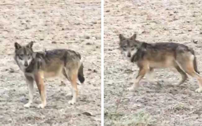 WhatsApp Image 2019 02 08 at 10.29.13