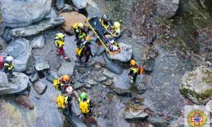 WhatsApp Image 2019 02 11 at 07.31.07