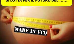 WhatsApp Image 2019 02 12 at 11.32.31