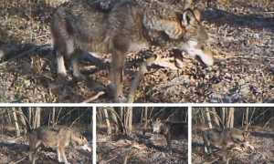 WhatsApp Image 2019 02 25 at 11.49.50