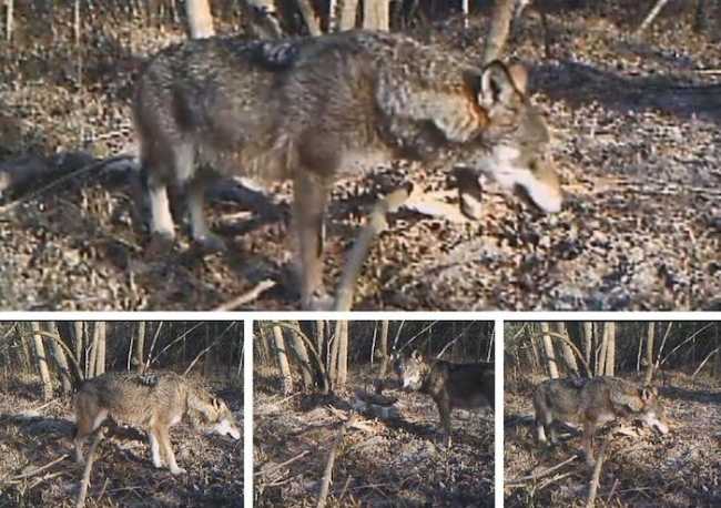 WhatsApp Image 2019 02 25 at 11.49.50