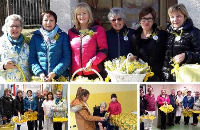 WhatsApp Image 2019 03 08 at 17.30.28