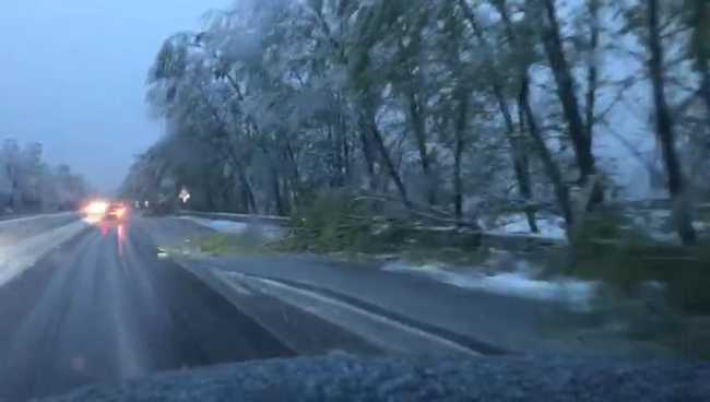 WhatsApp Image 2019 04 04 at 08.29.55