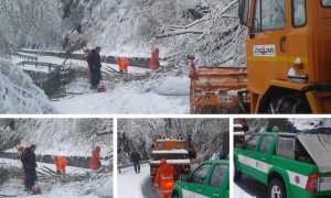 WhatsApp Image 2019 04 04 at 09.43.50