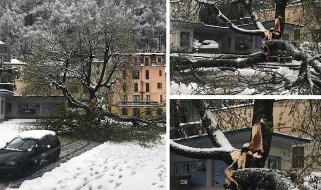 WhatsApp Image 2019 04 04 at 12.00.13