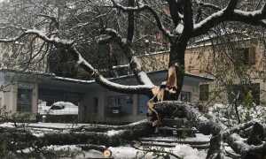 WhatsApp Image 2019 04 05 at 08.39.43