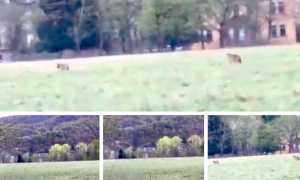 WhatsApp Image 2019 04 15 at 13.02.12