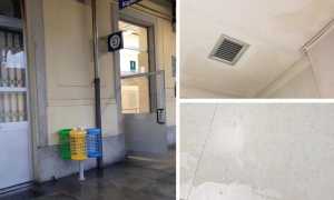 WhatsApp Image 2019 04 25 at 17.32.151