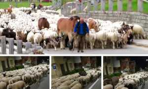 WhatsApp Image 2019 10 06 at 08.20.42