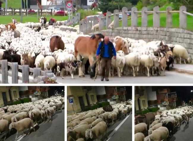 WhatsApp Image 2019 10 06 at 08.20.42