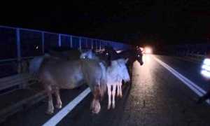 WhatsApp Image 2019 10 09 at 08.31.38