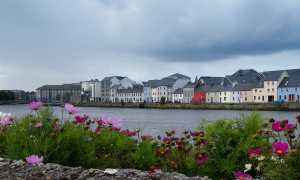 WhatsApp Image 2019 11 25 at 08.56.09