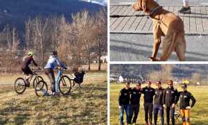 WhatsApp Image 2020 02 17 at 14.12.05