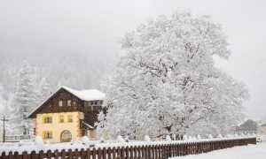 WhatsApp Image 2020 03 02 at 16.00.40