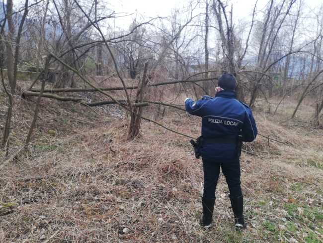 WhatsApp Image 2020 03 16 at 18.41.38