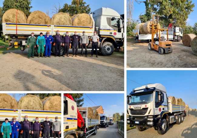 WhatsApp Image 2020 11 07 at 08.50.48