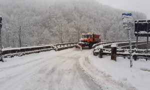 WhatsApp Image 2021 01 18 at 10.00.551