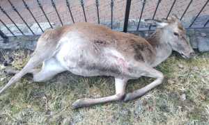 WhatsApp Image 2021 02 04 at 08.51.53