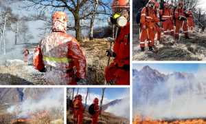 WhatsApp Image 2021 03 19 at 08.28.081