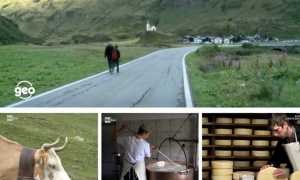 WhatsApp Image 2021 03 24 at 09.59.05