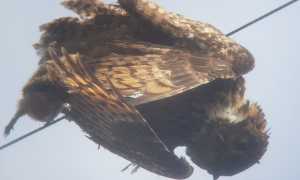 WhatsApp Image 2021 04 09 at 12.18.58