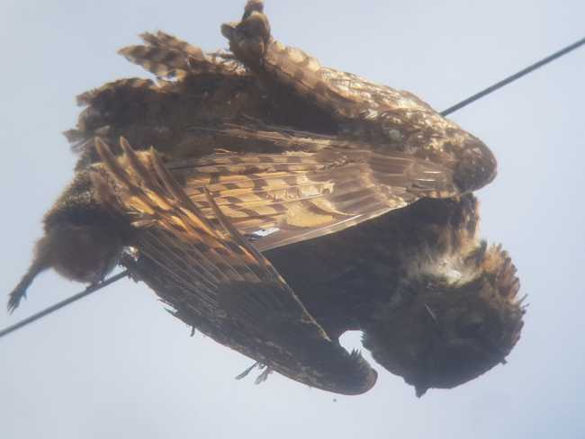 WhatsApp Image 2021 04 09 at 12.18.58