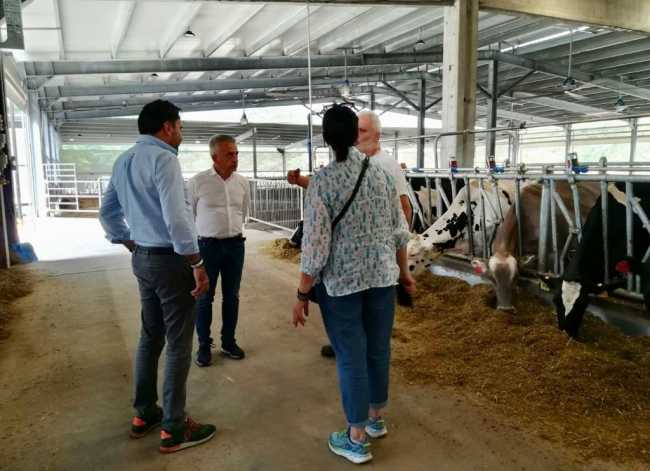 WhatsApp Image 2021 08 02 at 11.36.14