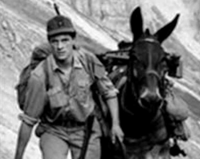 WhatsApp Image 2021 12 02 at 18.24.25