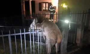 WhatsApp Image 2022 02 07 at 08.10.472