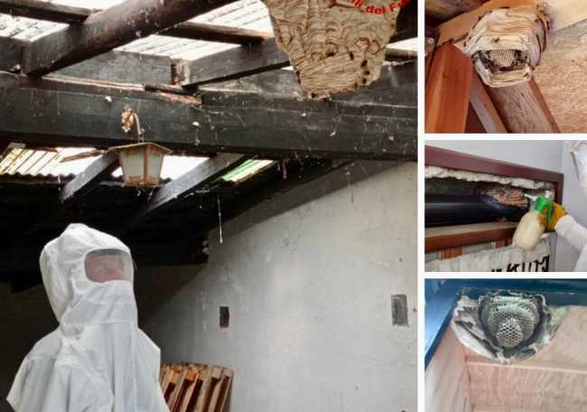 WhatsApp Image 2022 05 30 at 11.10.03