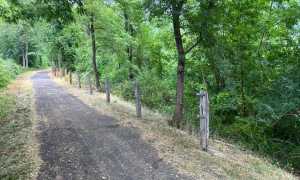 WhatsApp Image 2022 06 23 at 09.28.25