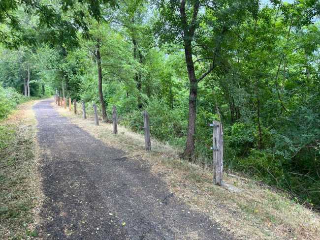 WhatsApp Image 2022 06 23 at 09.28.25