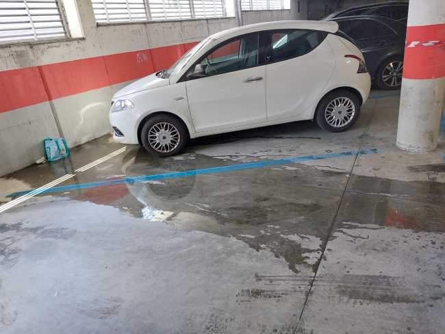 WhatsApp Image 2022 08 06 at 14.06.11