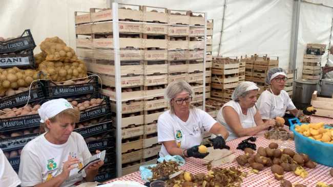 WhatsApp Image 2022 08 26 at 17.53.014