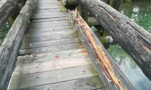 WhatsApp Image 2022 09 30 at 10.48.121