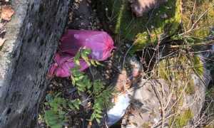 WhatsApp Image 2022 10 04 at 18.15.48