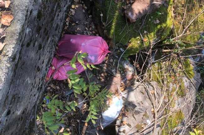 WhatsApp Image 2022 10 04 at 18.15.48